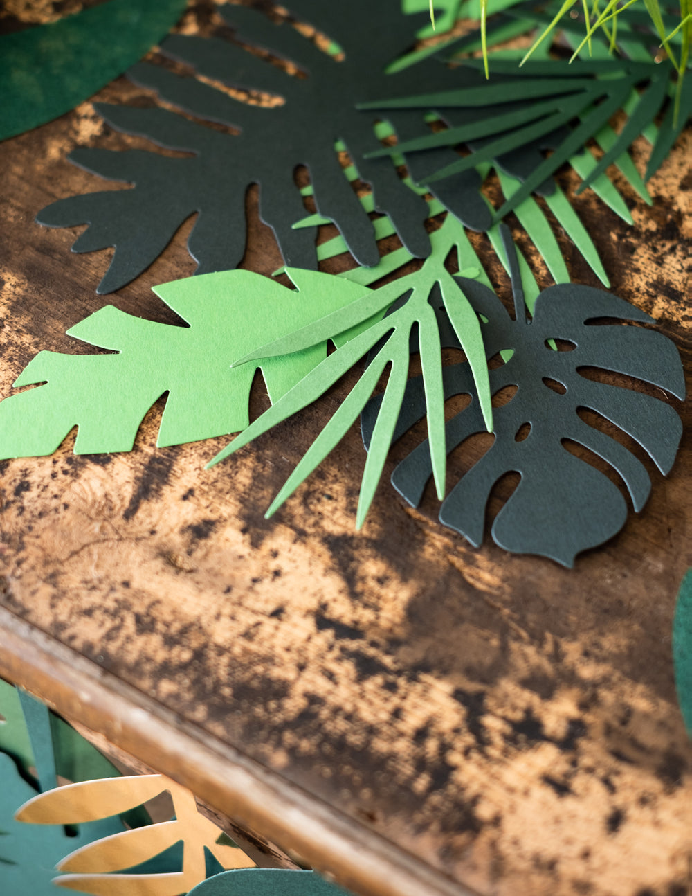 Gros plan sur les découpes des feuilles tropicales Hawaï pour décoration
