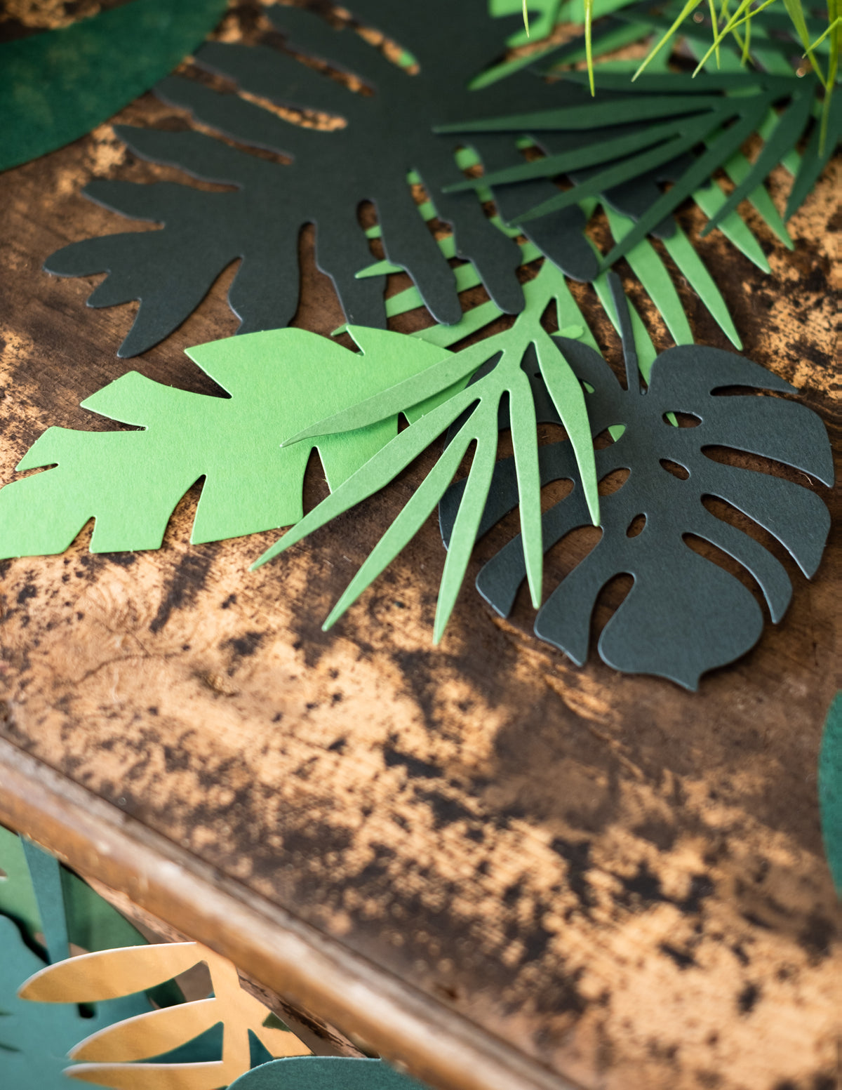 Gros plan sur les découpes des feuilles tropicales Hawaï pour décoration