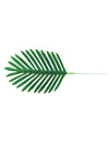 Feuilles de palmier pour décoration tropicale verte