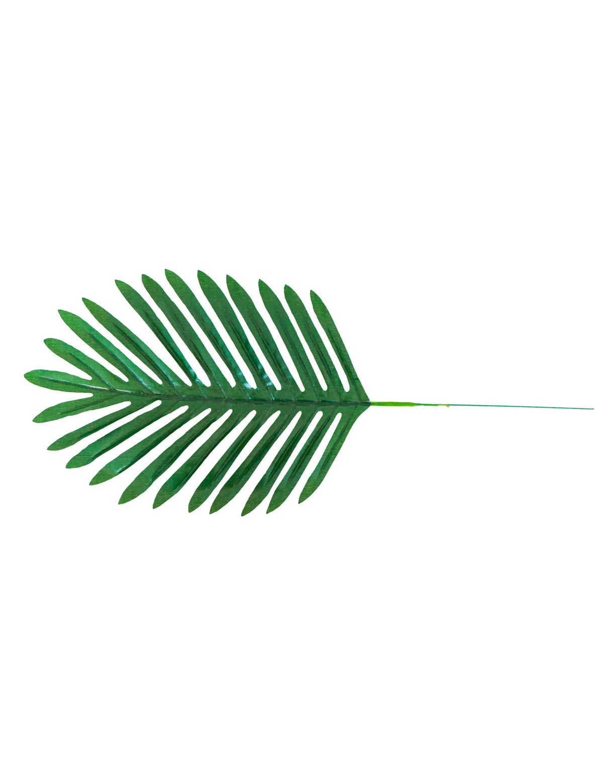 Feuilles de palmier pour décoration tropicale verte