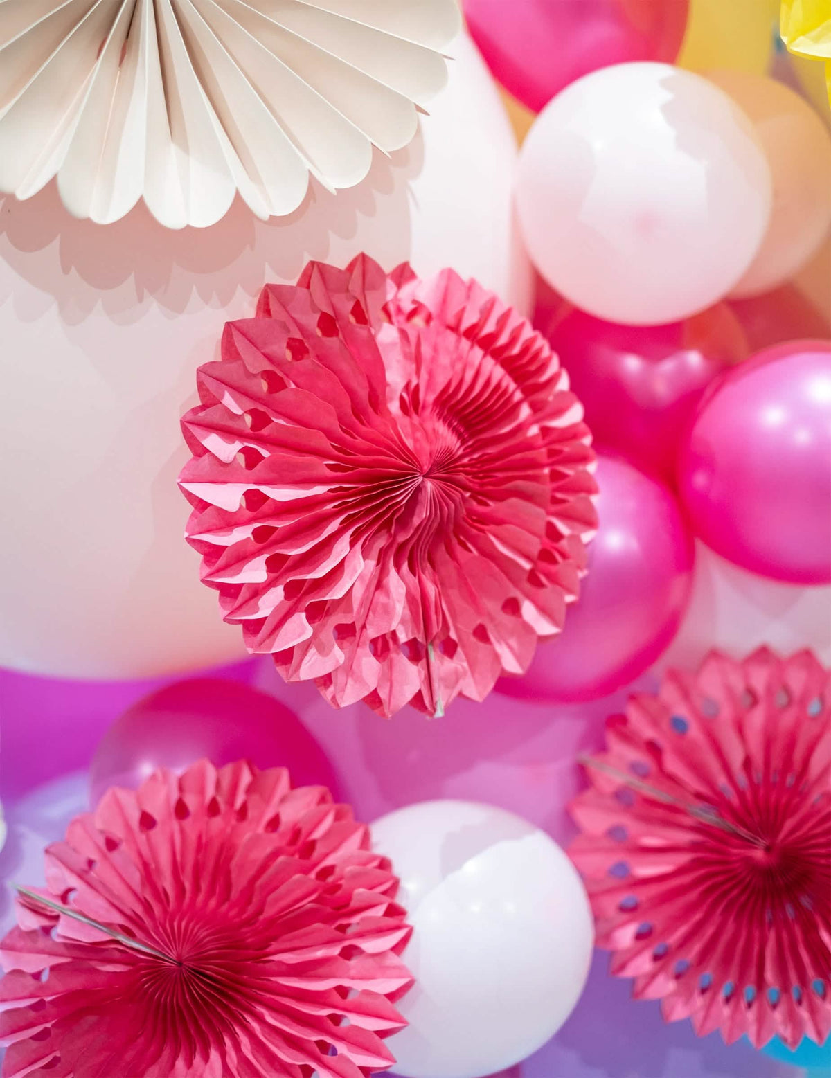 Detalhe das mini rosáceas multicolores