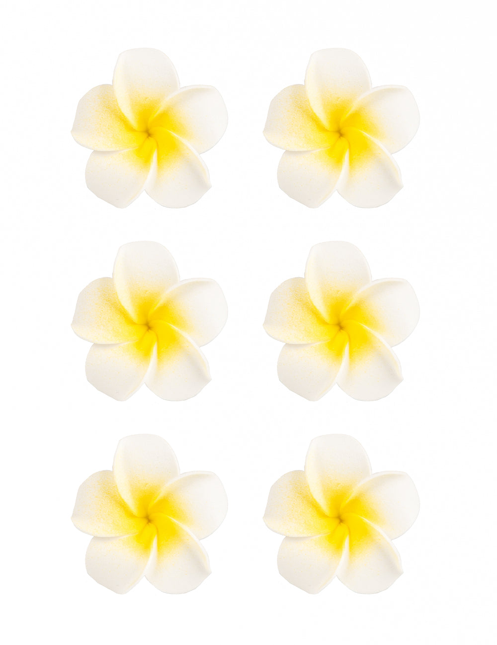 6 fleurs de monoï artificielles pour décoration blanches en mousse adhésives
