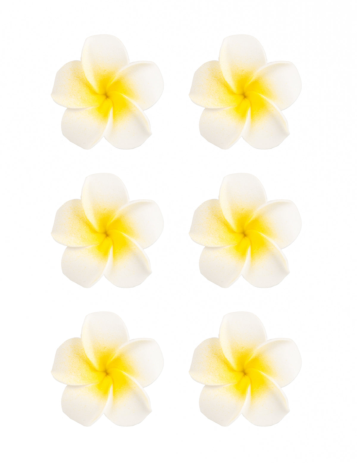 6 fleurs de monoï artificielles pour décoration blanches en mousse adhésives
