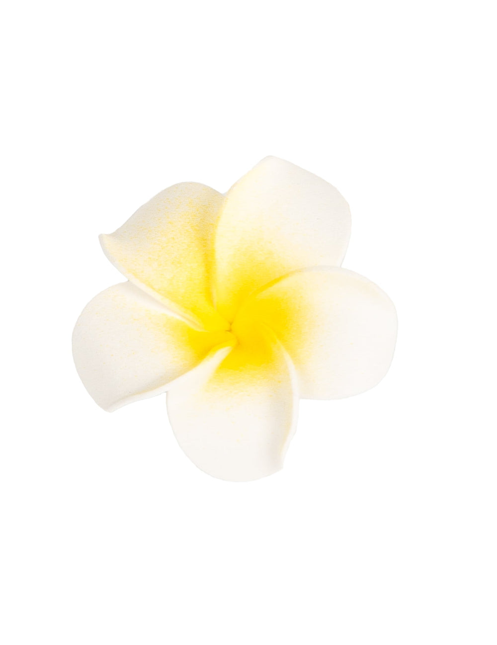 Gros plan d'une fleur blanche et jaune du lot de 6 fleurs de monoï artificielles pour décoration