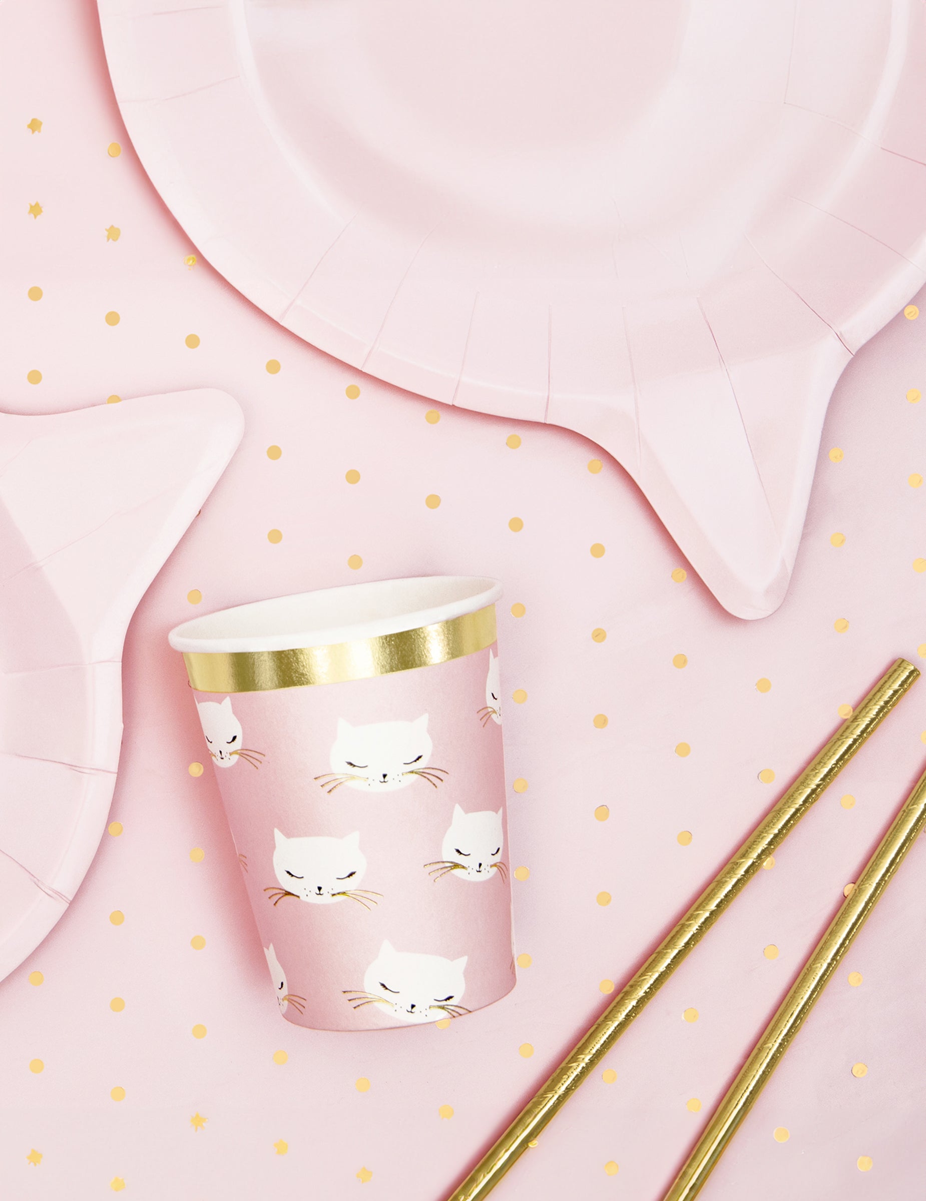 Mise en scène avec assiettes et pailles des gobelets petits chats