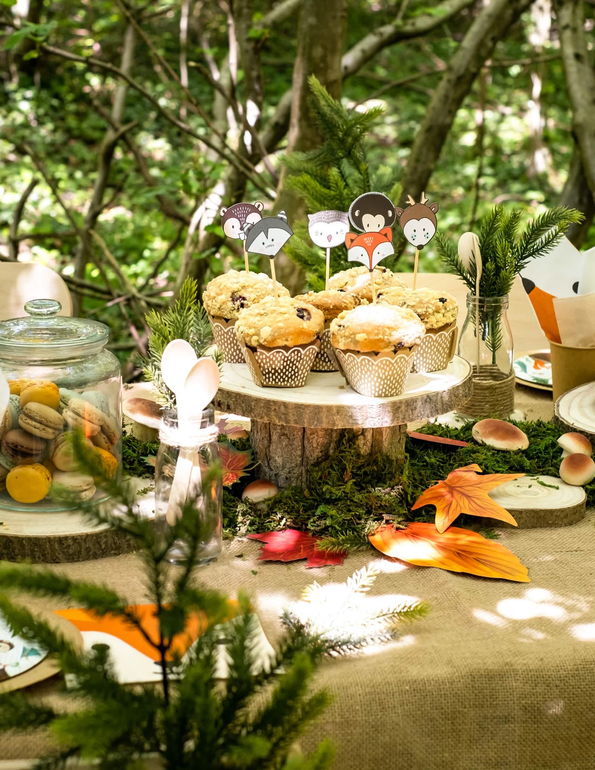 Moldes para cupcake e palitos de madeira animais floresta para festa kraft e branco