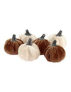 6 Pequenas abóboras de veludo creme e canela 6 cm