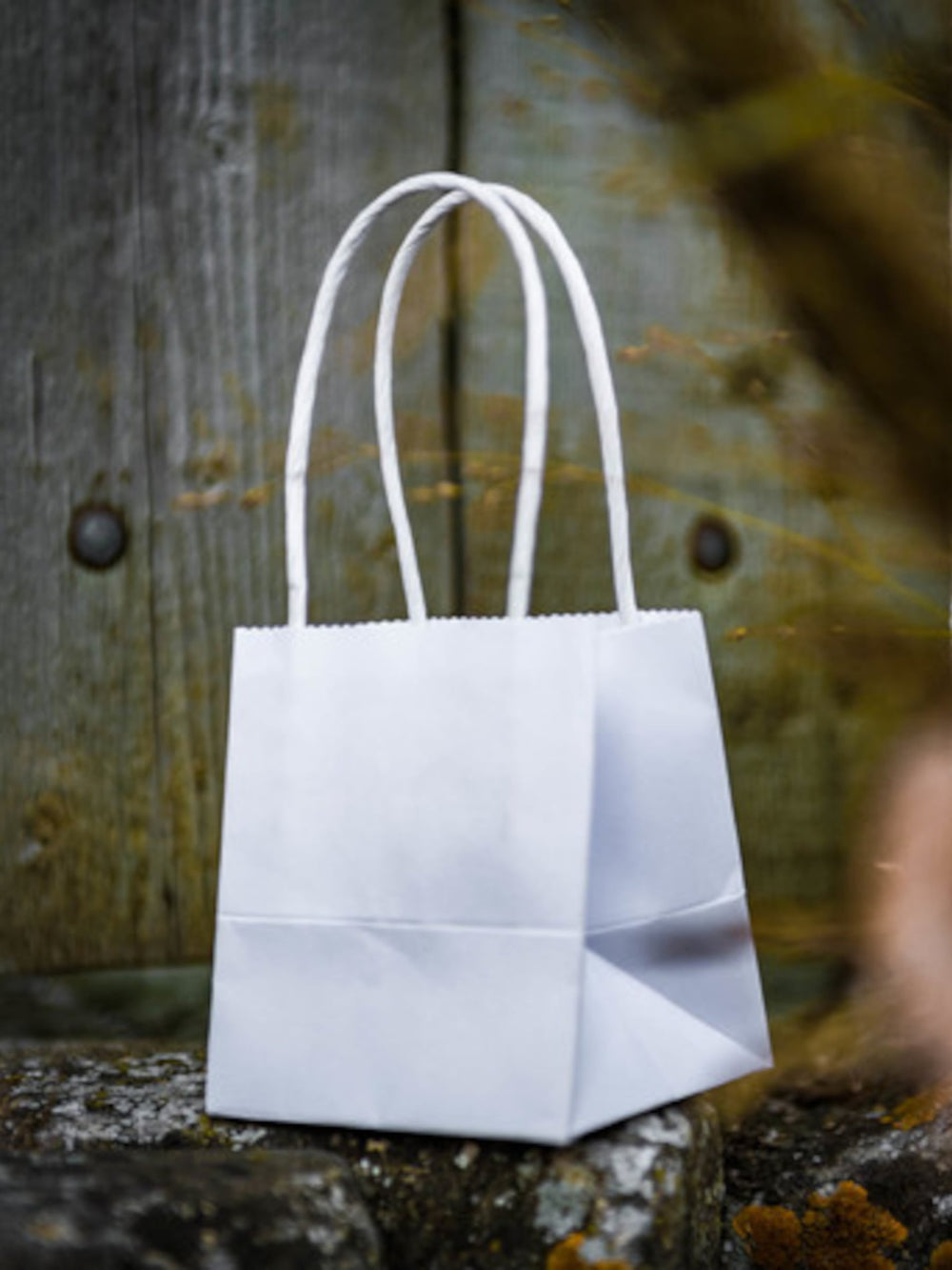 Petits sacs en carton blancs avec anses torsadées