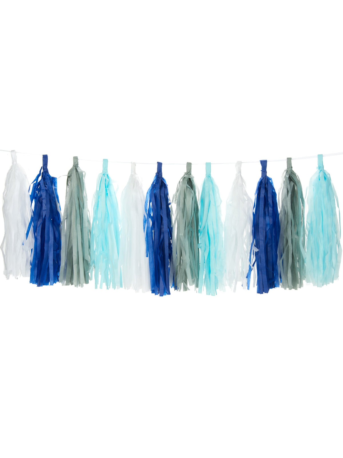 Guirlande du pompon tassel pour décoration de fête