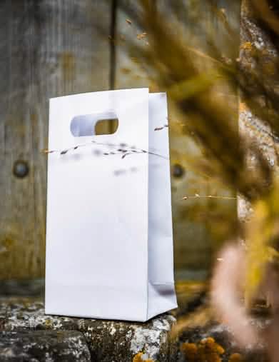 Encenação com pega recortada do saco de papel de casamento