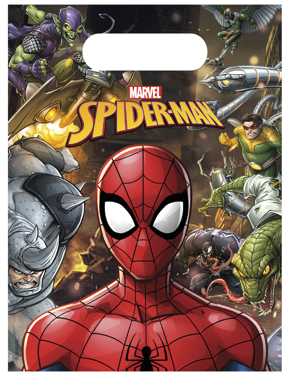 Sacs à cadeaux Spiderman pour enfant multicolore avec super-vilains