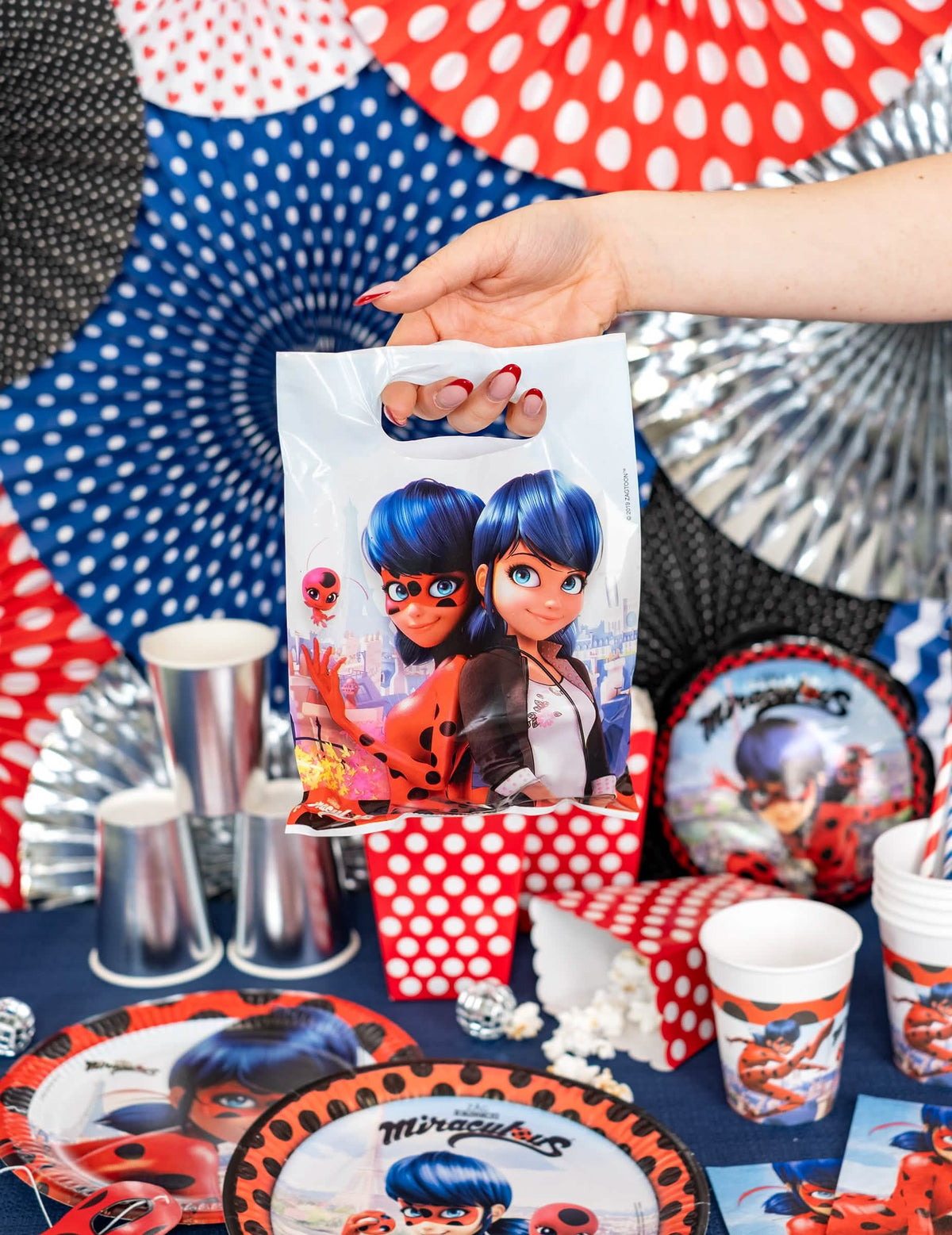 Estão em situação os sacos de prenda Miraculous Ladybug