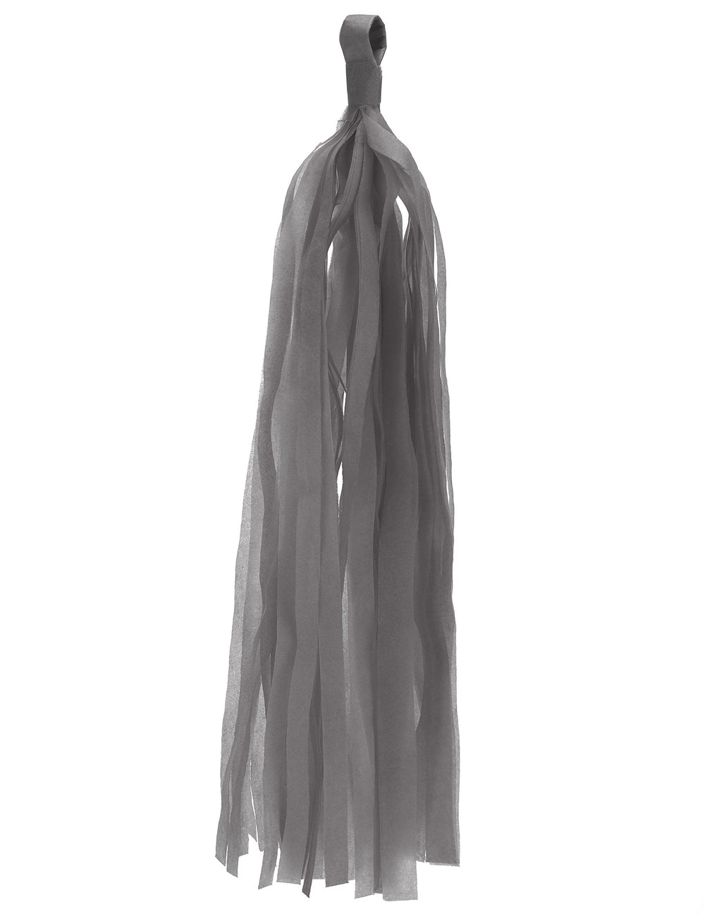 Guirlande du pompon tassel pour décoration de fête