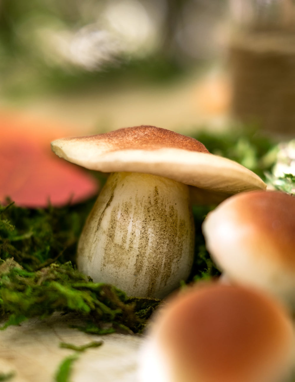 Gros plan sur un champignon des champignons en mousse aspect naturel