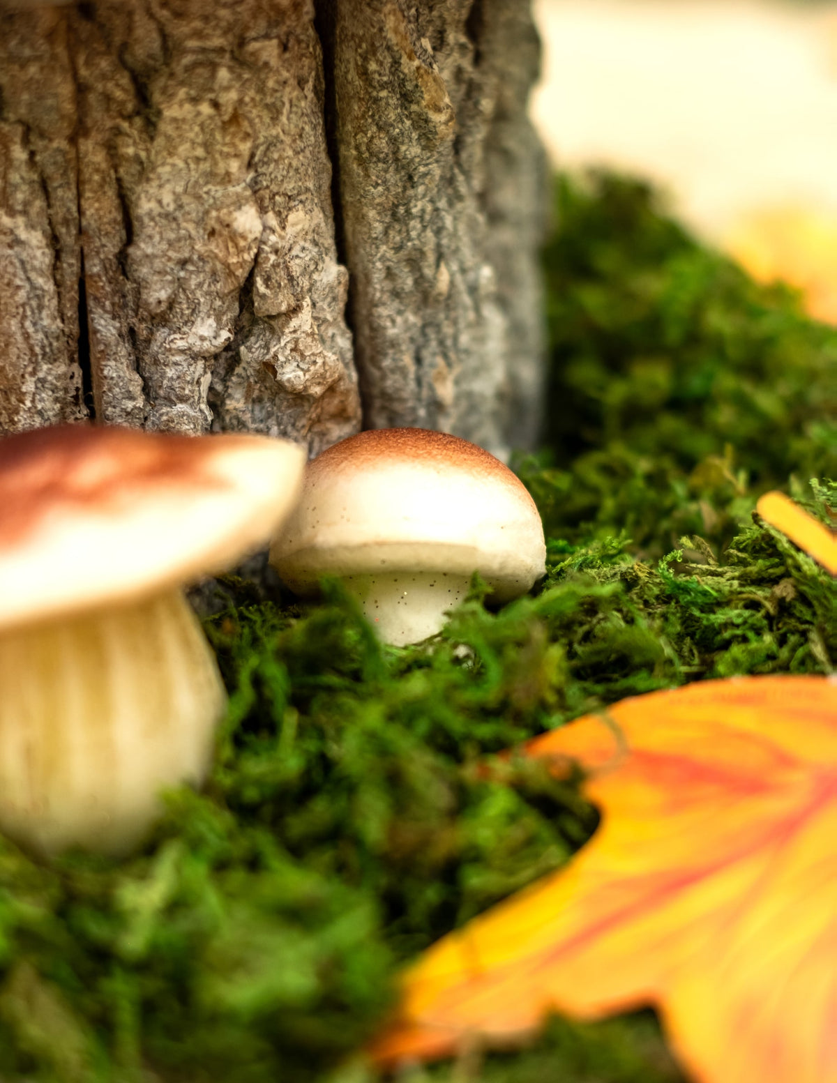 Détail de la mise en scène avec mousse et écorce des champignons en mousse aspect naturel