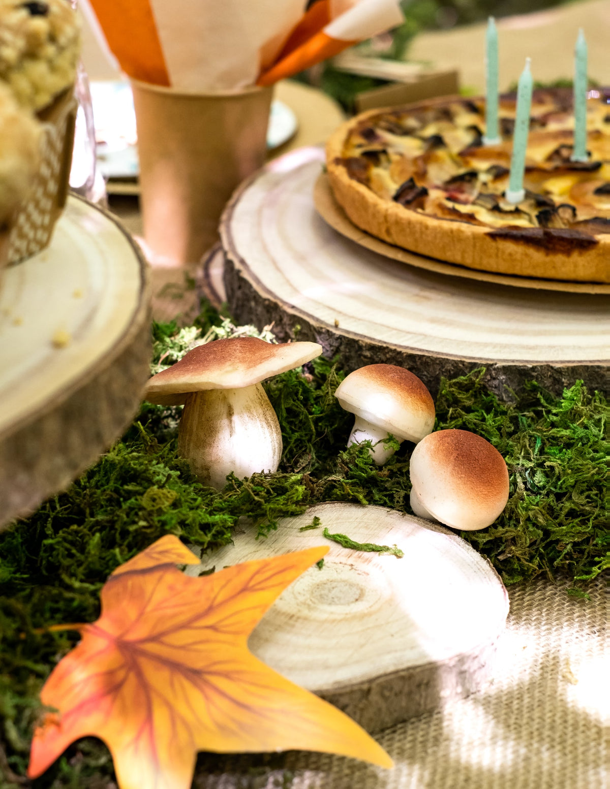 Mise en situation sur une table des champignons en mousse aspect naturel