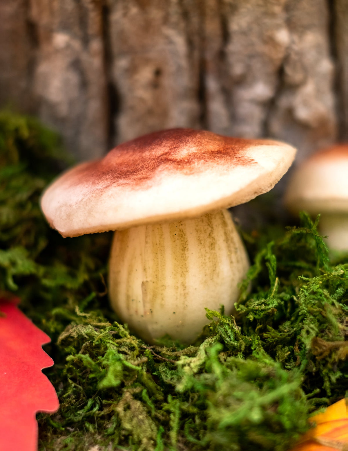 Vue de profil d'un champignon des champignons en mousse aspect naturel