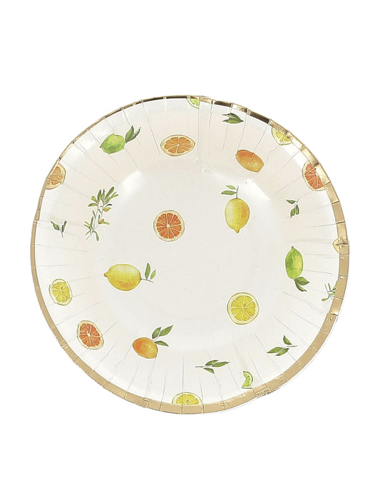 8 taças Fizz cítricas de cartão creme, laranja, amarelo e dourado 13,5cm decoração frutada