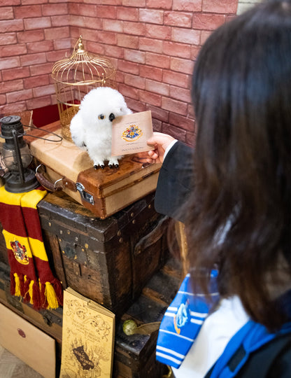 Mise en scène avec une chouette en peluche des cartes d'invitation Harry Potter