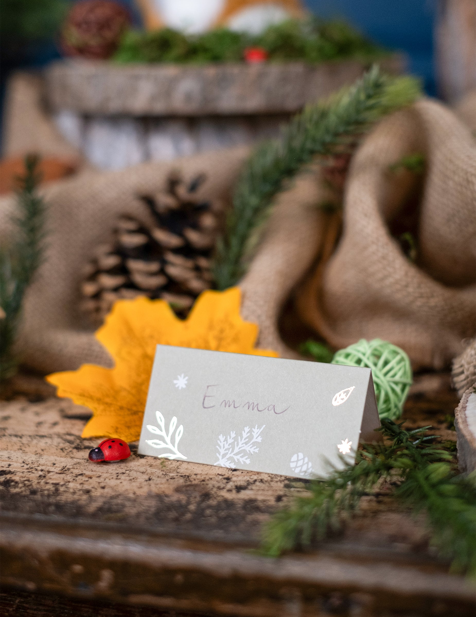Mise en situation avec décor naturel du marque-places Noël botanique pour table