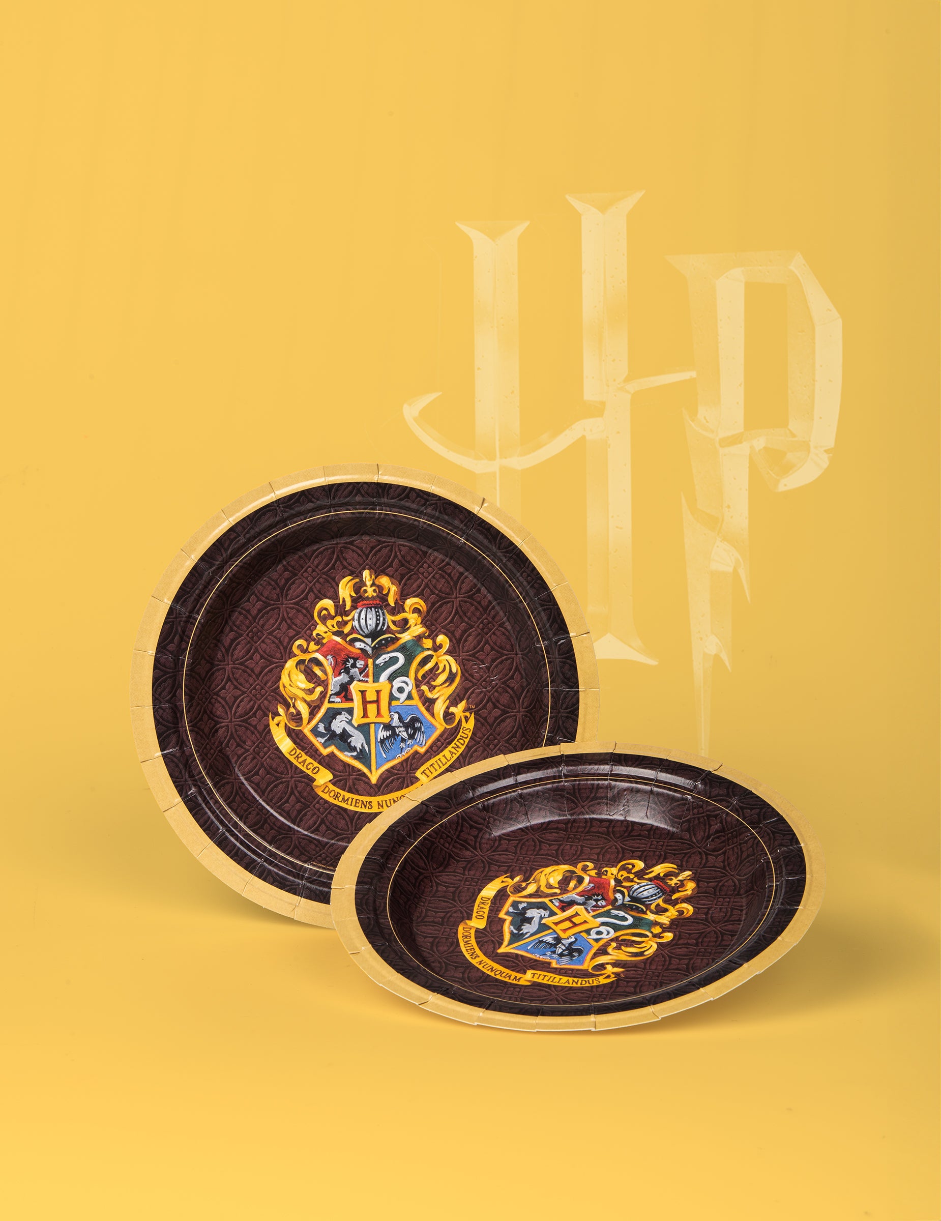 Vue de face et inclinée de l'assiette en carton Harry Potter