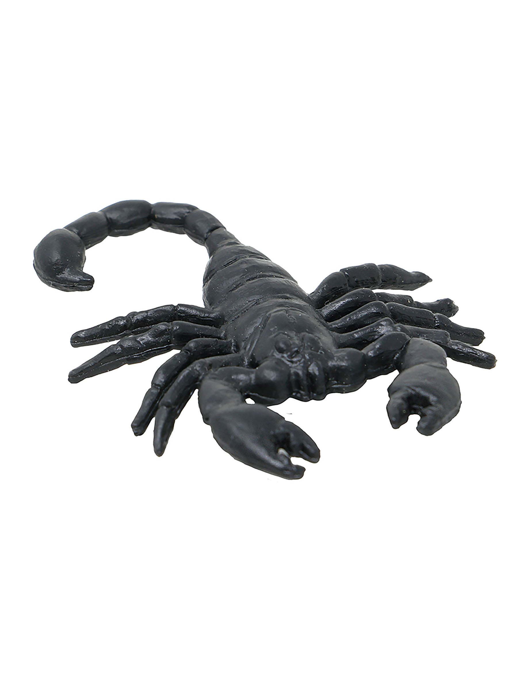 Gros plan d'un scorpion du lot de 8 scorpions pour Halloween