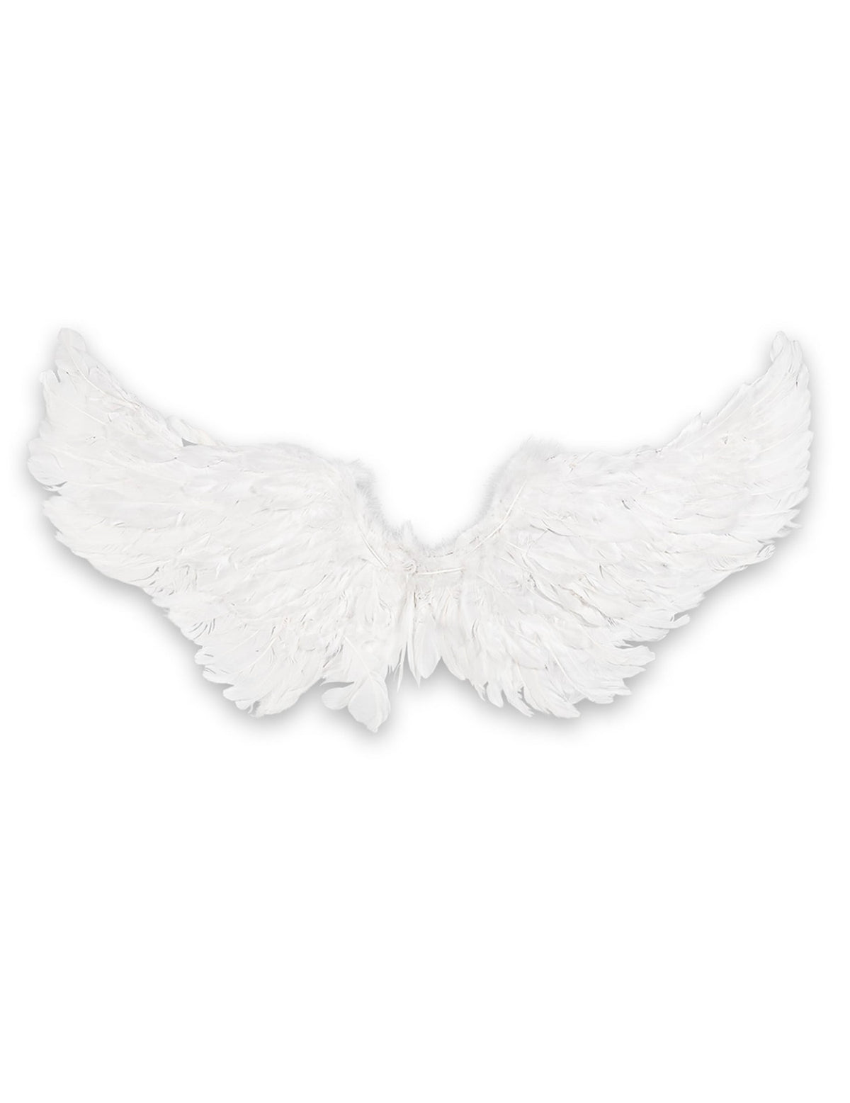 Vue de face des ailes d'anges pour adulte
