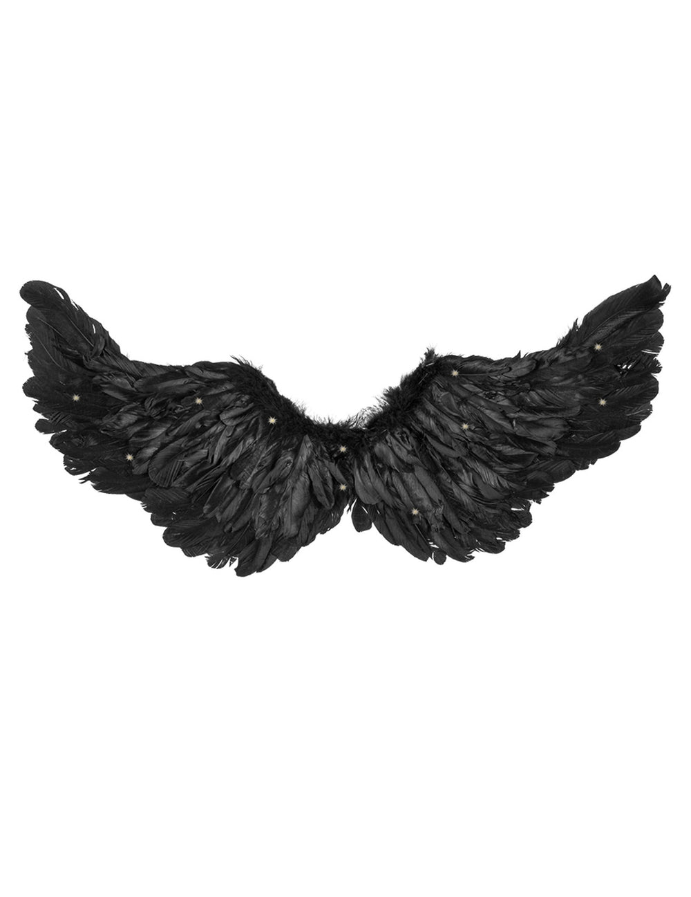 Vue de face des ailes d'anges noires lumineuses