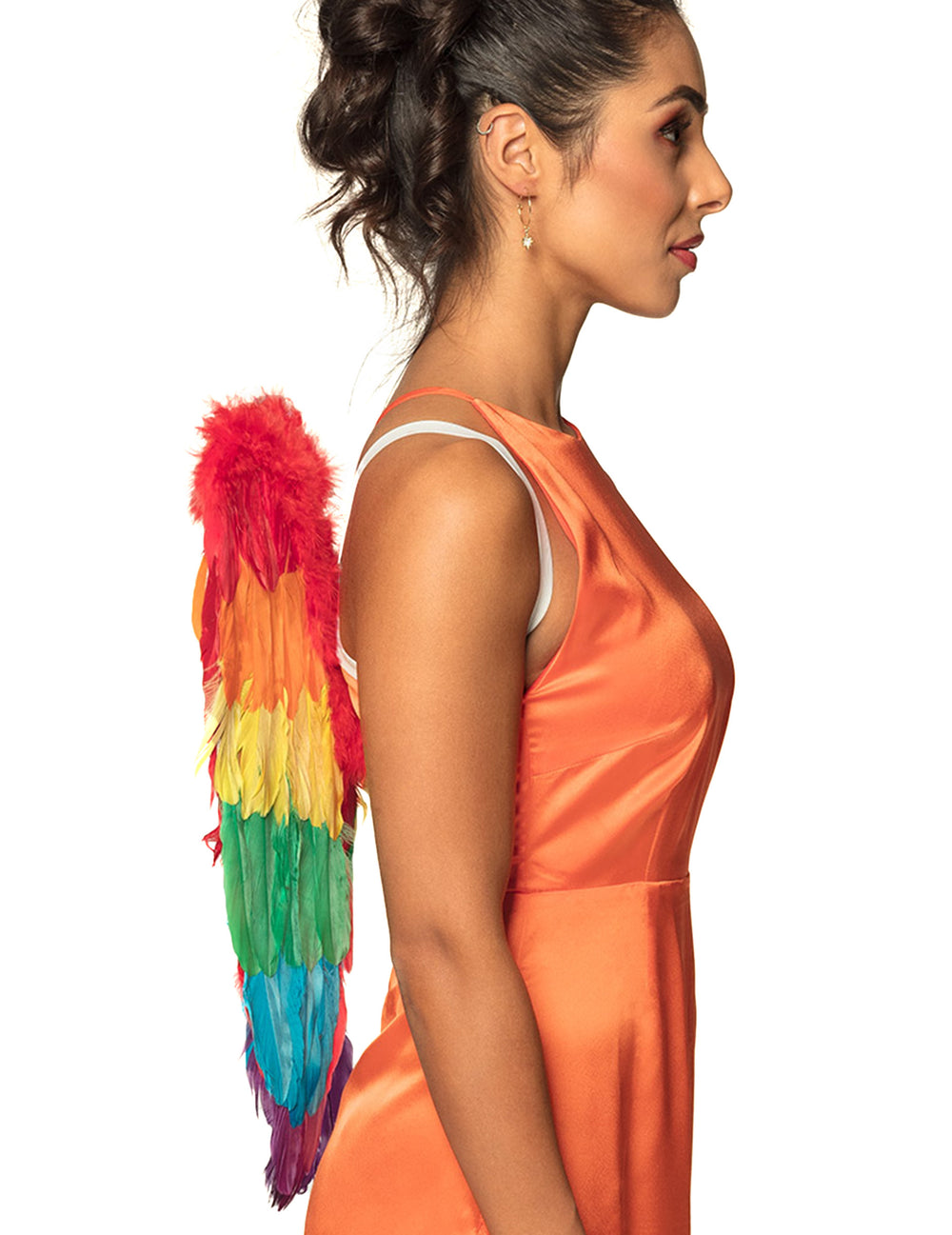 Vue de profil des ailes multicolores