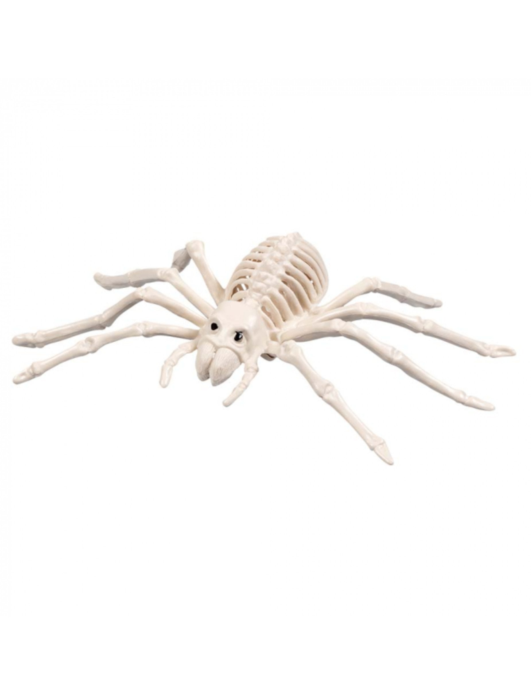 Araignée squelette d'Halloween pour décoration beige