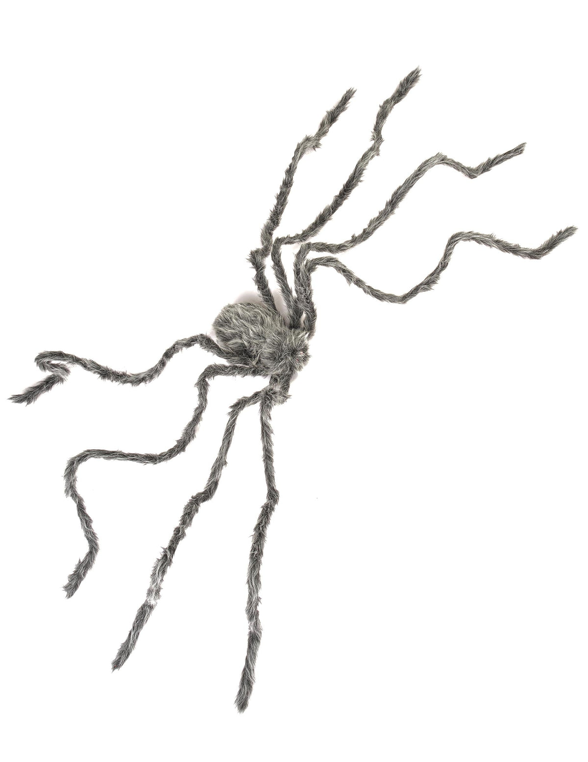Détail des dimensions de l'araignée géante Halloween