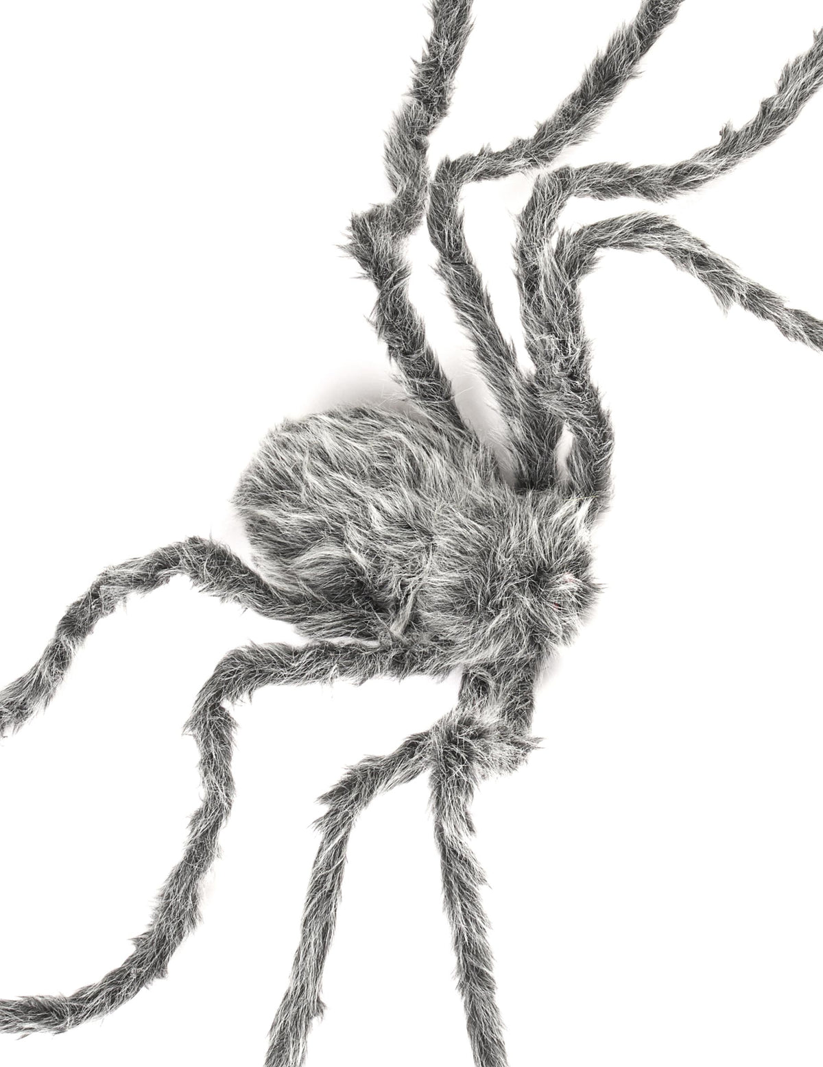 Vue de dessus de l'araignée géante Halloween