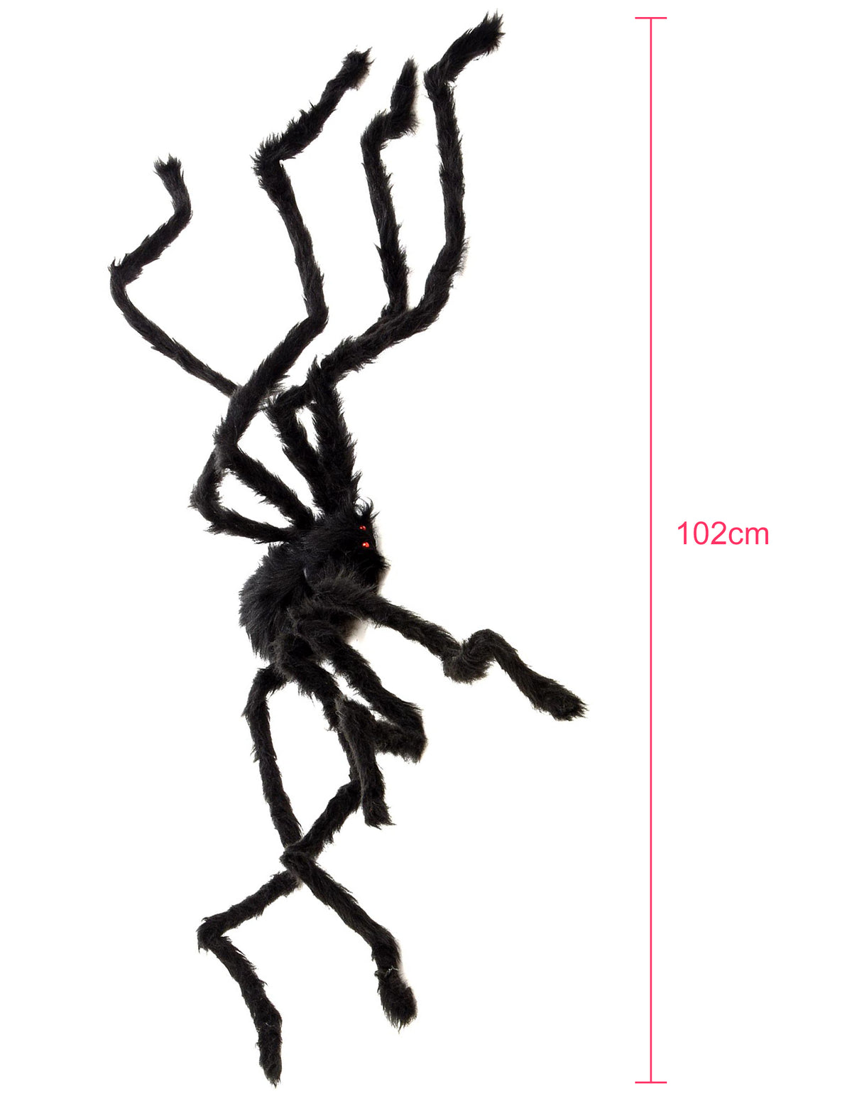 Aperçu des dimensions de l'araignée velue Halloween