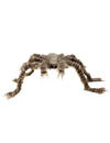 Araignée velue pour décoration marron et grise