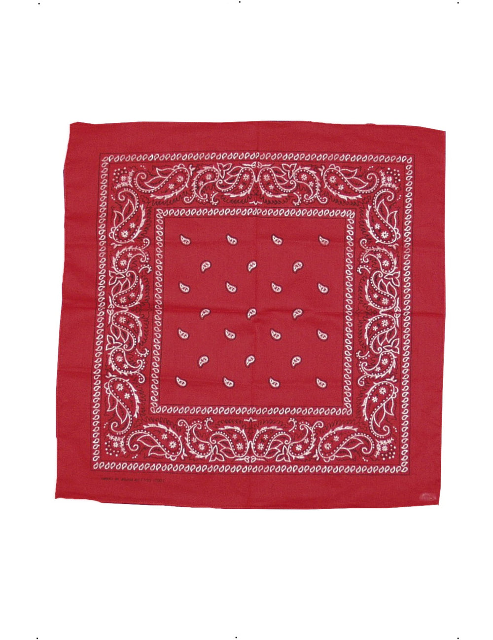 Vue à plat du bandana cowboy