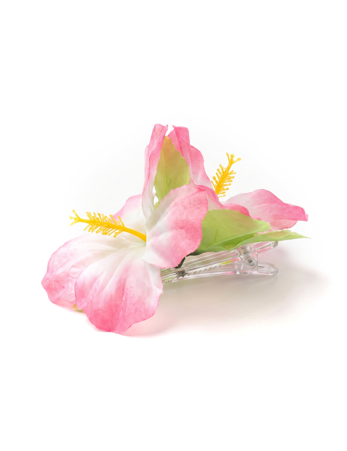 Flor cor de rosa Havaí