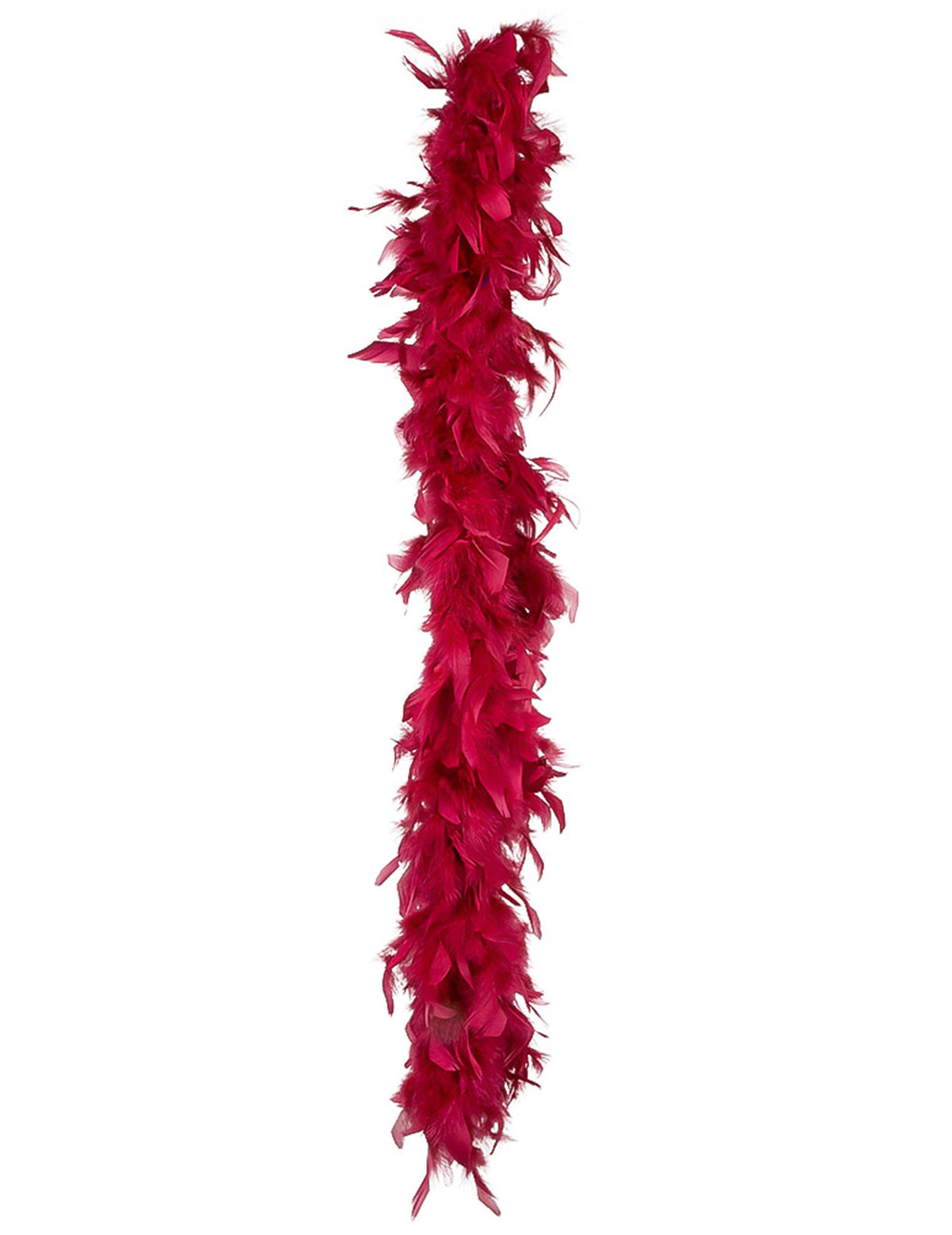 Détail des plumes du boa rouge bordeaux