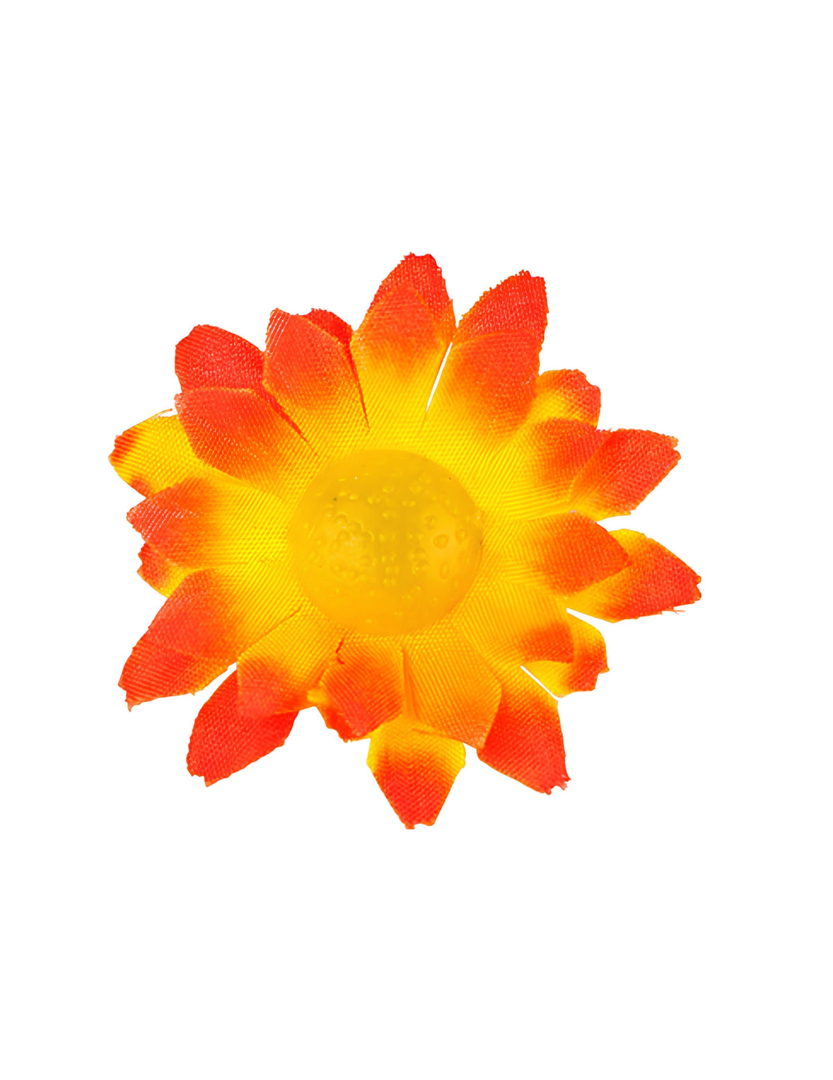 Gros plan sur une fleur de la boite de 20 fleurs marguerite