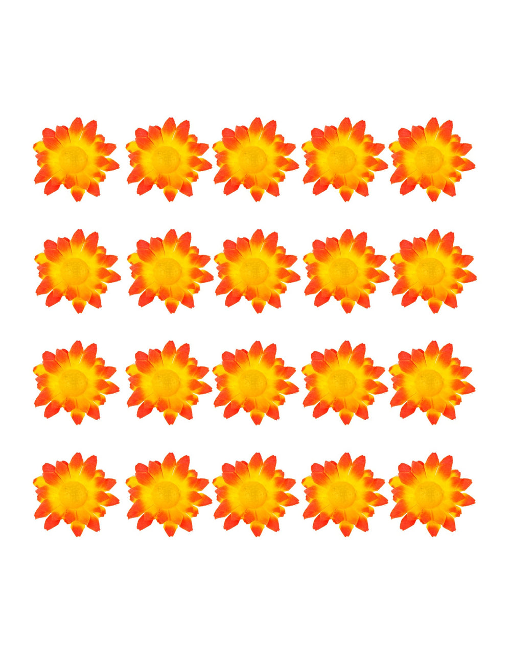 Vue d'ensemble du contenu de la boite de 20 fleurs marguerite jaune orangé