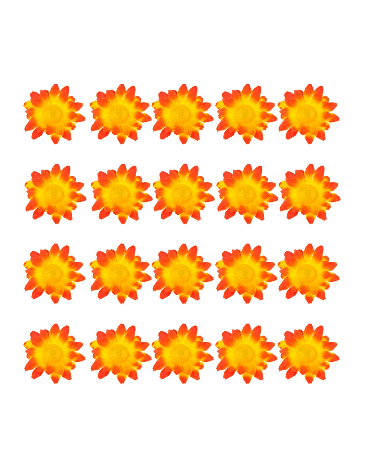 Vue d'ensemble du contenu de la boite de 20 fleurs marguerite jaune orangé