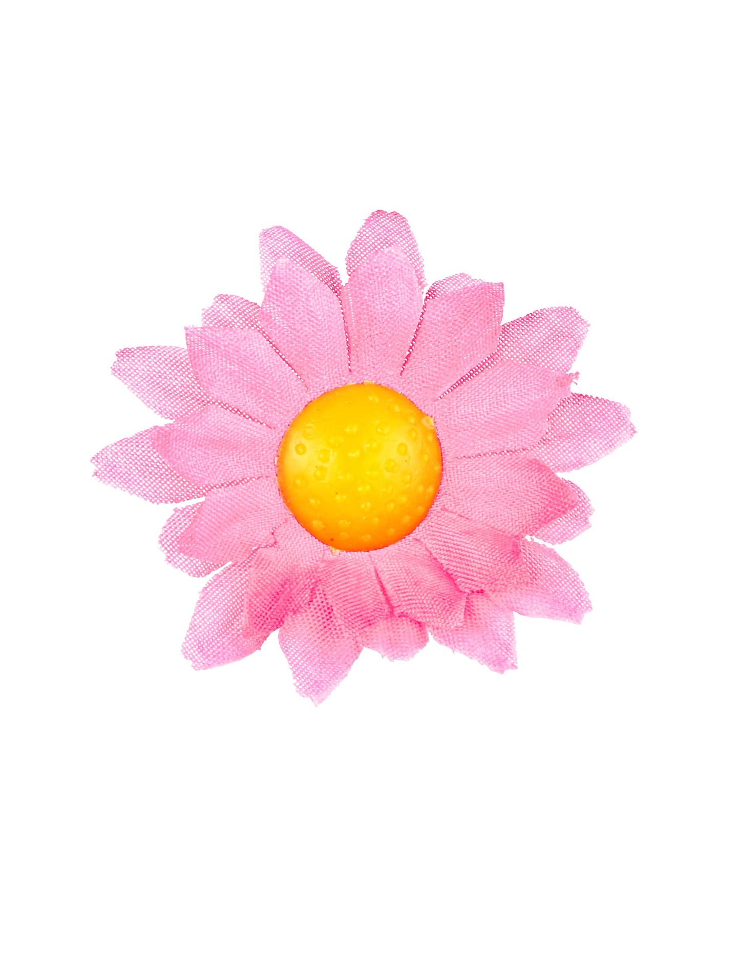 Gros plan sur une fleur de la boîte de 20 fleurs marguerite rose clair
