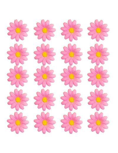 Caixa de 20 flores de margarida rosa claro