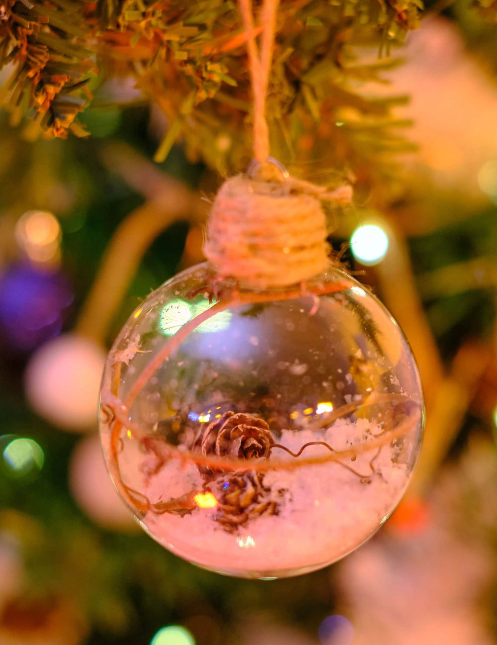 Em situação num pinheiro da bola de natal em vidro com pinhas e neve