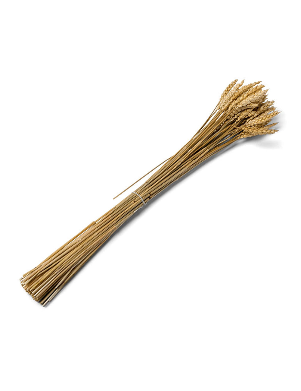 Bouquet d'épis de blé naturel pour décoration jaune paille