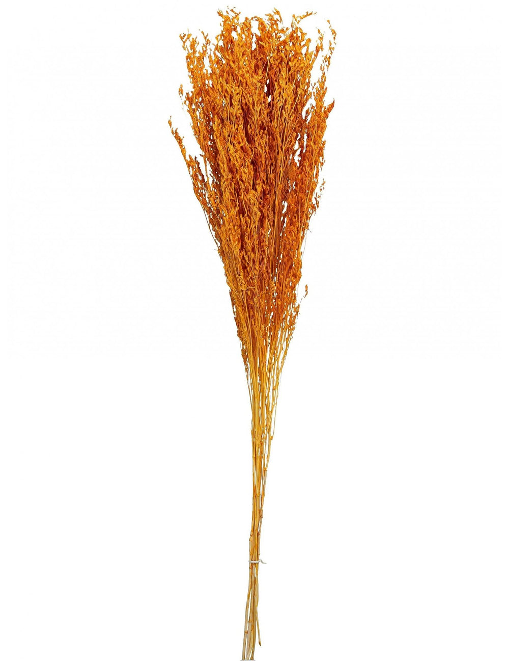 Bouquet de broom séché terracotta para decoração de festa cor de laranja
