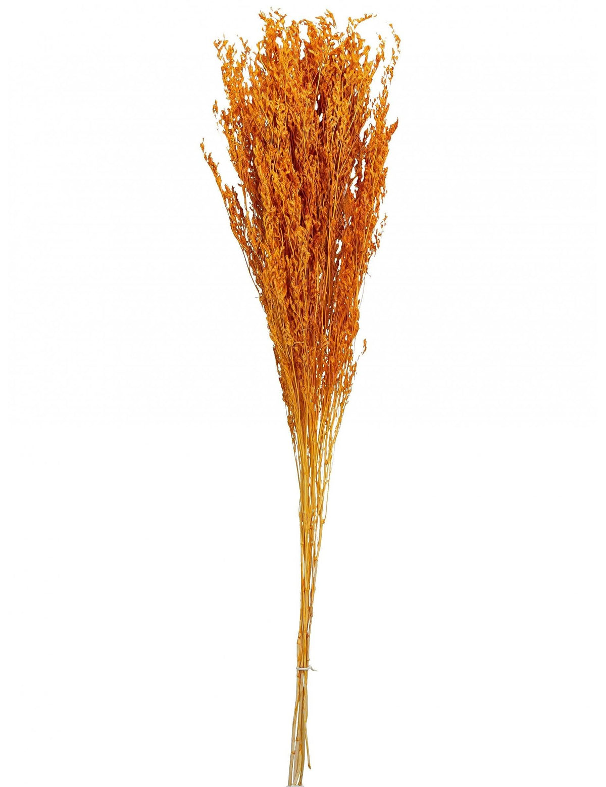 Bouquet de broom séché terracotta para decoração de festa cor de laranja
