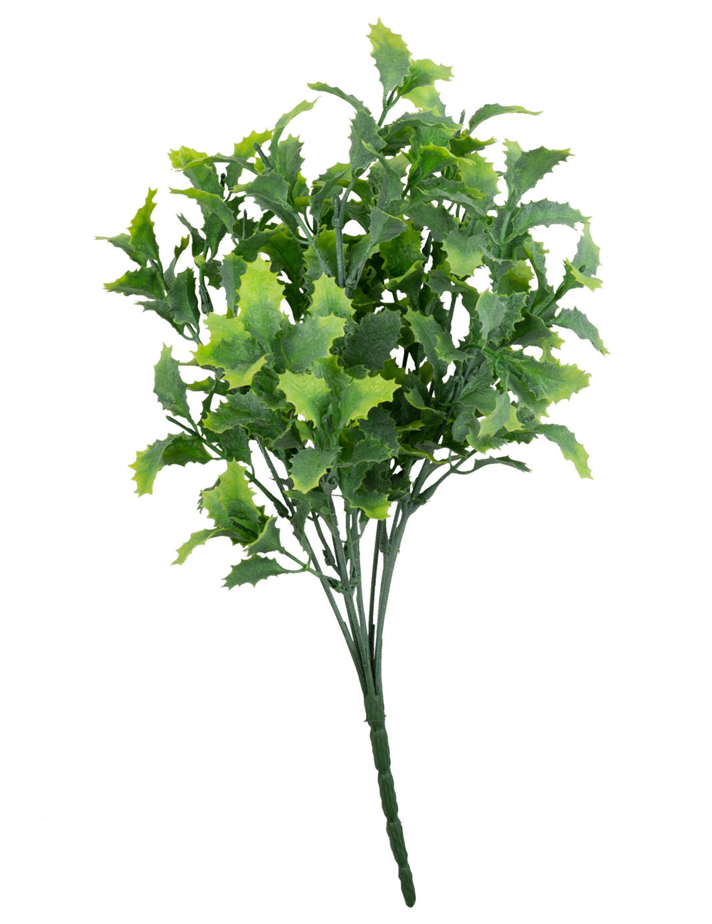 Bouquet de feuilles de houx pour Noël vert