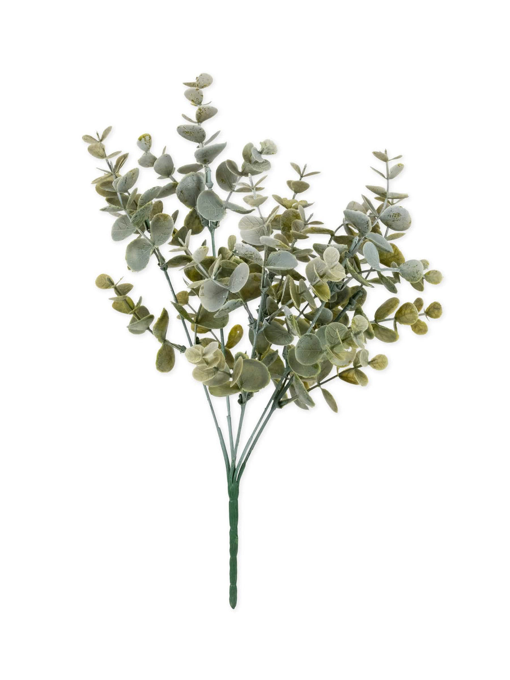 Bouquet de folhas de eucalipto vegetal para decoração verde