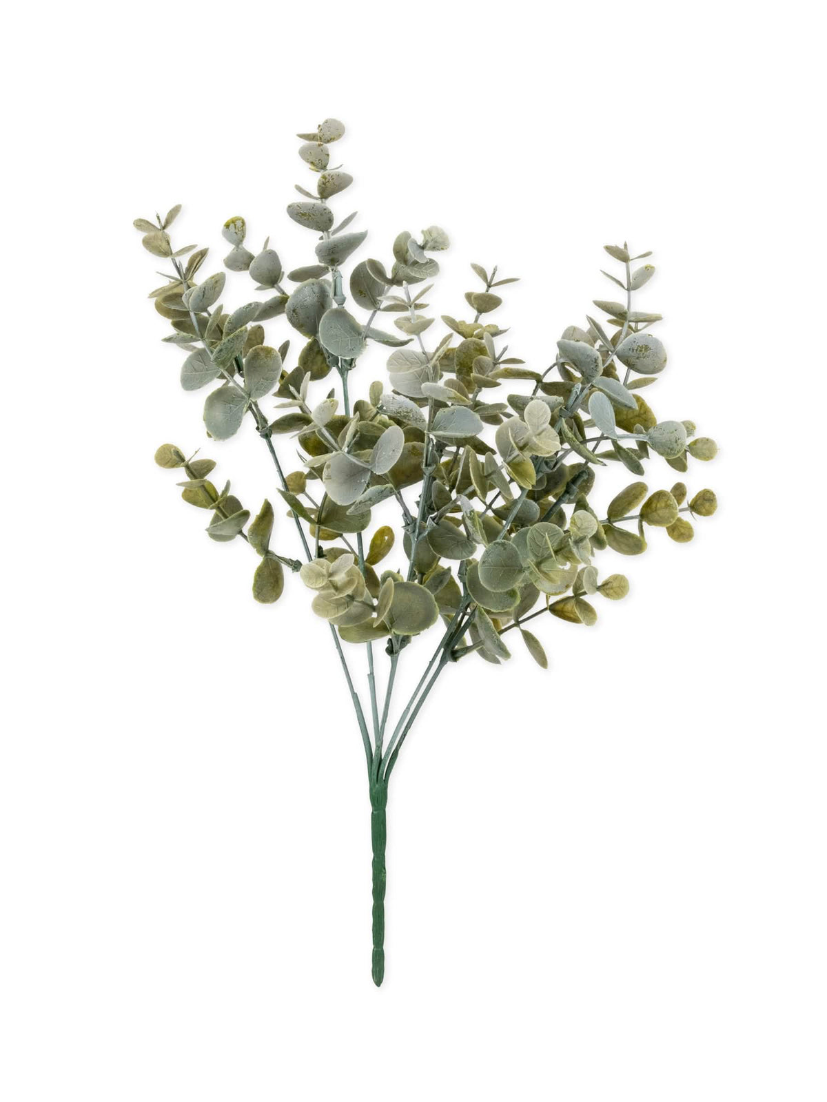 Bouquet de folhas de eucalipto vegetal para decoração verde