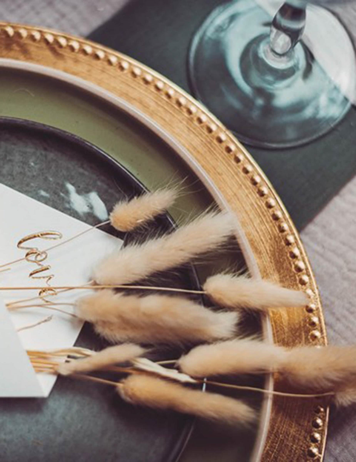 Grande plano nos plumeiros do ramo lagurus plumeiros decoração de casamento